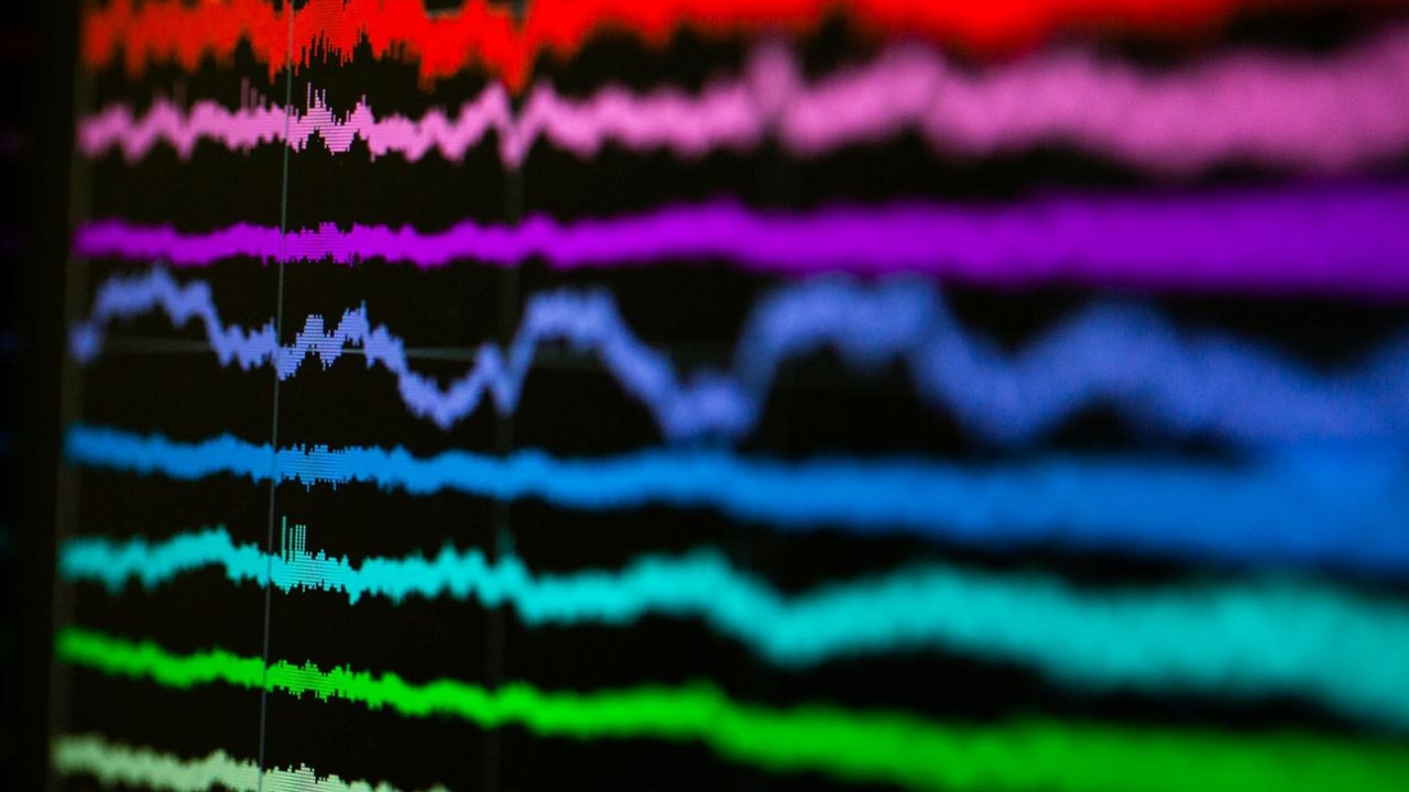 "Math Neurons" Identified in the Brain