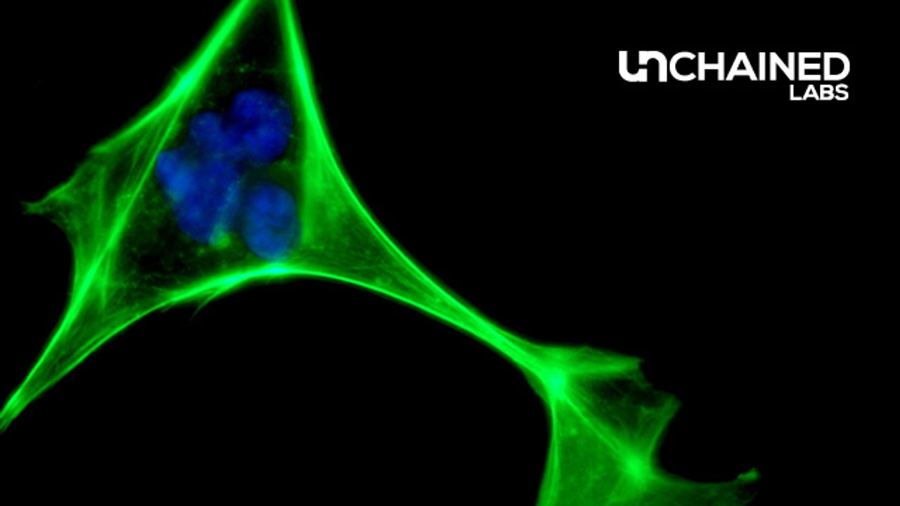 Snag Wicked Fast and Accurate Protein Quant on Lunatic