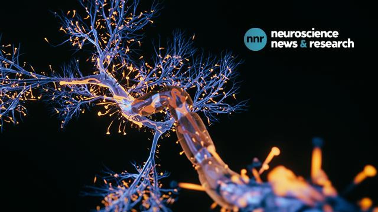 Opportunities and Challenges of Blood-Based Biomarkers in Alzheimer's Disease
