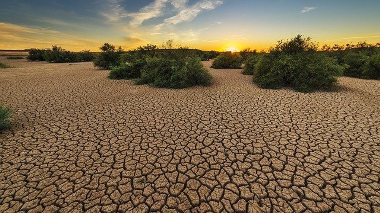 Southwestern US Megadrought Worst for Over 1,200 Years