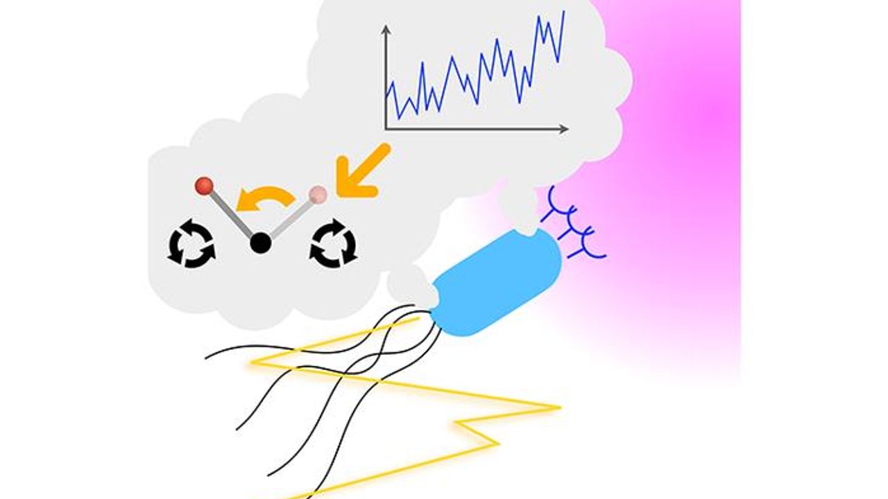 Bacterial Food Finding Strategy Could Help Nanobots Find Chemical Targets