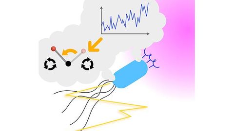Bacterial Food Finding Strategy Could Help Nanobots Find Chemical Targets