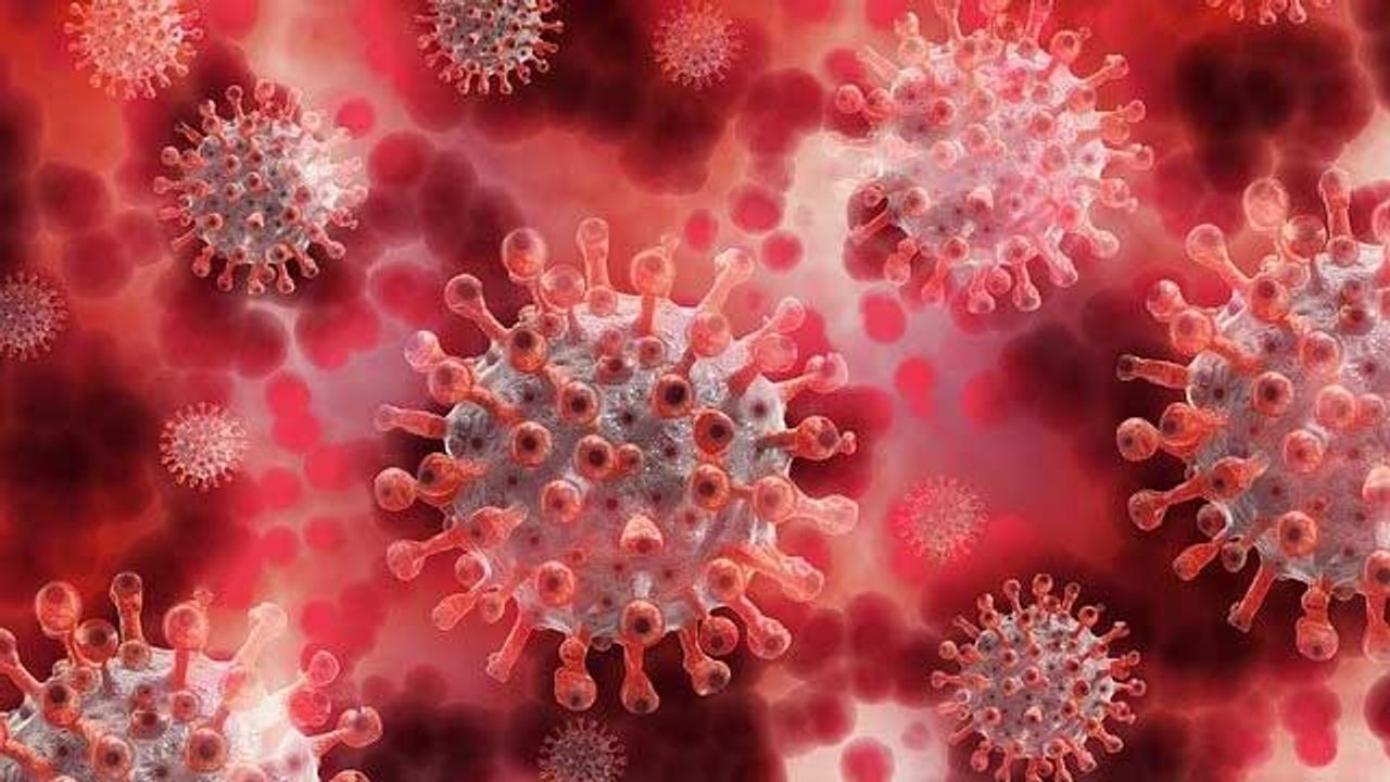 SARS-CoV-2 Evolution Driven by Need To Infect and Escape