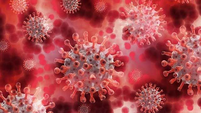 SARS-CoV-2 Evolution Driven by Need To Infect and Escape content piece image