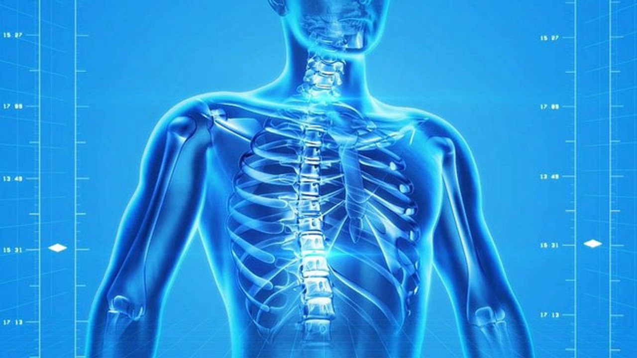 Using Personalized Organoids To Model Spinal Cancer