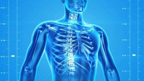 Using Personalized Organoids To Model Spinal Cancer