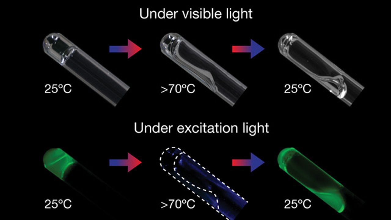 DNA Strands Used To Create Tuneable, Elastic and Temperature-Sensitive Gel