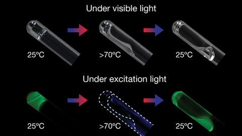 DNA Strands Used To Create Tuneable, Elastic and Temperature-Sensitive Gel
