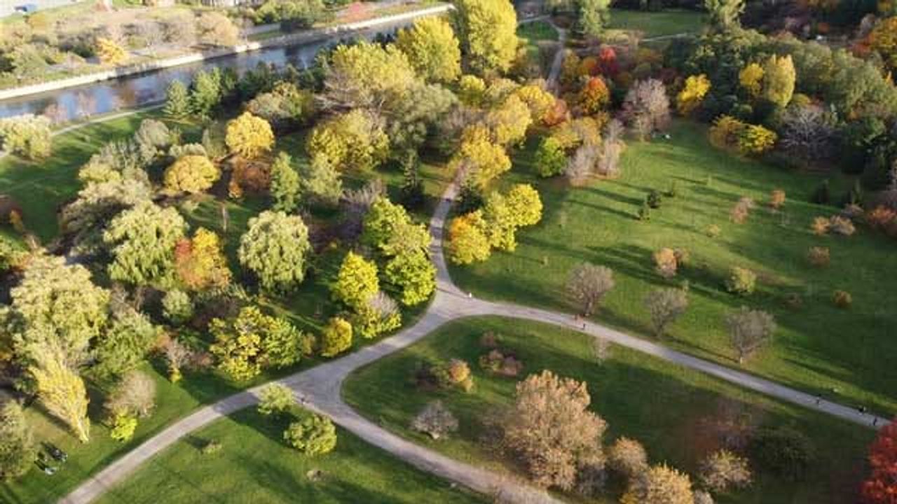More Carbon Removed From the Atmosphere by City Trees and Soil Than Previously Thought