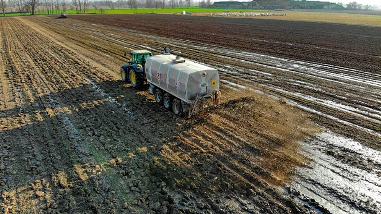 Engineered Bacterium Could Fertilize Crops and Reduce Pollution