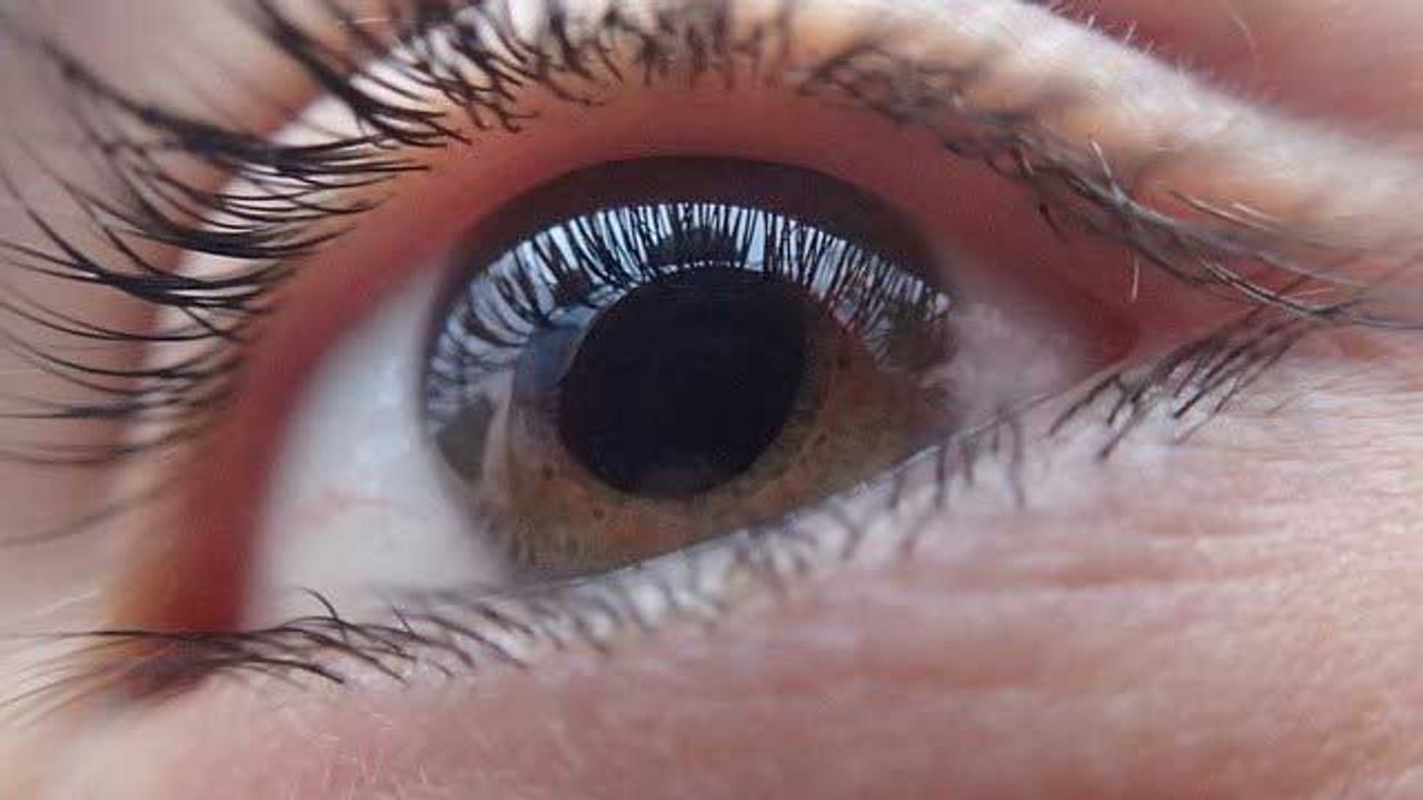 Target With Promise for Treating Blindness Discovered