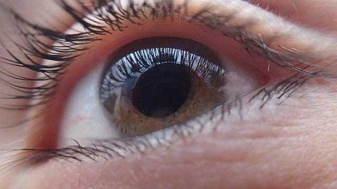 Target With Promise for Treating Blindness Discovered