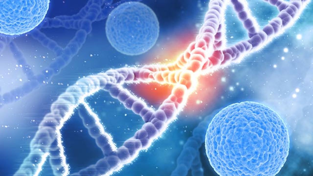 More Precise Information on the Genetic Basis of Leukemia