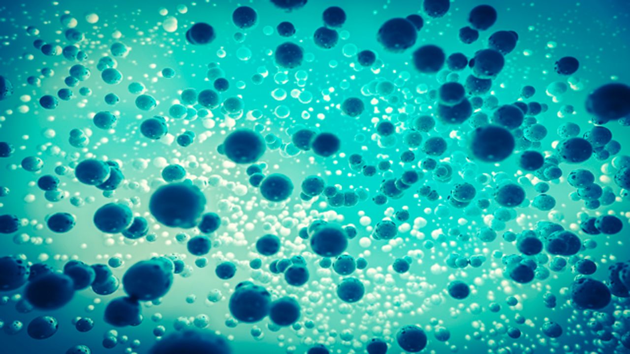 Protein Circuits Taken a Step Closer to Cell-to-Cell Communication