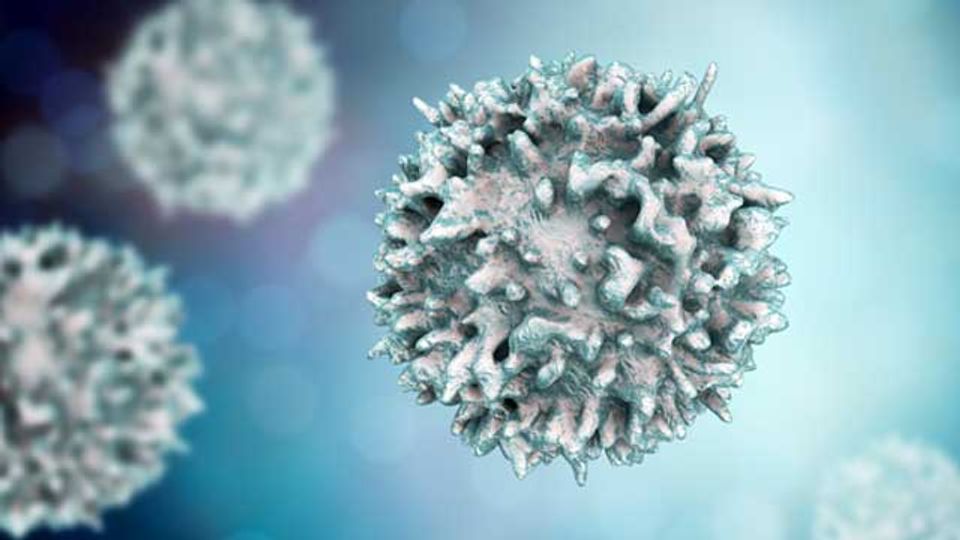 Leveraging the T-Cell Response to Epstein-Barr Virus To Treat Life-Threatening Diseases content piece image