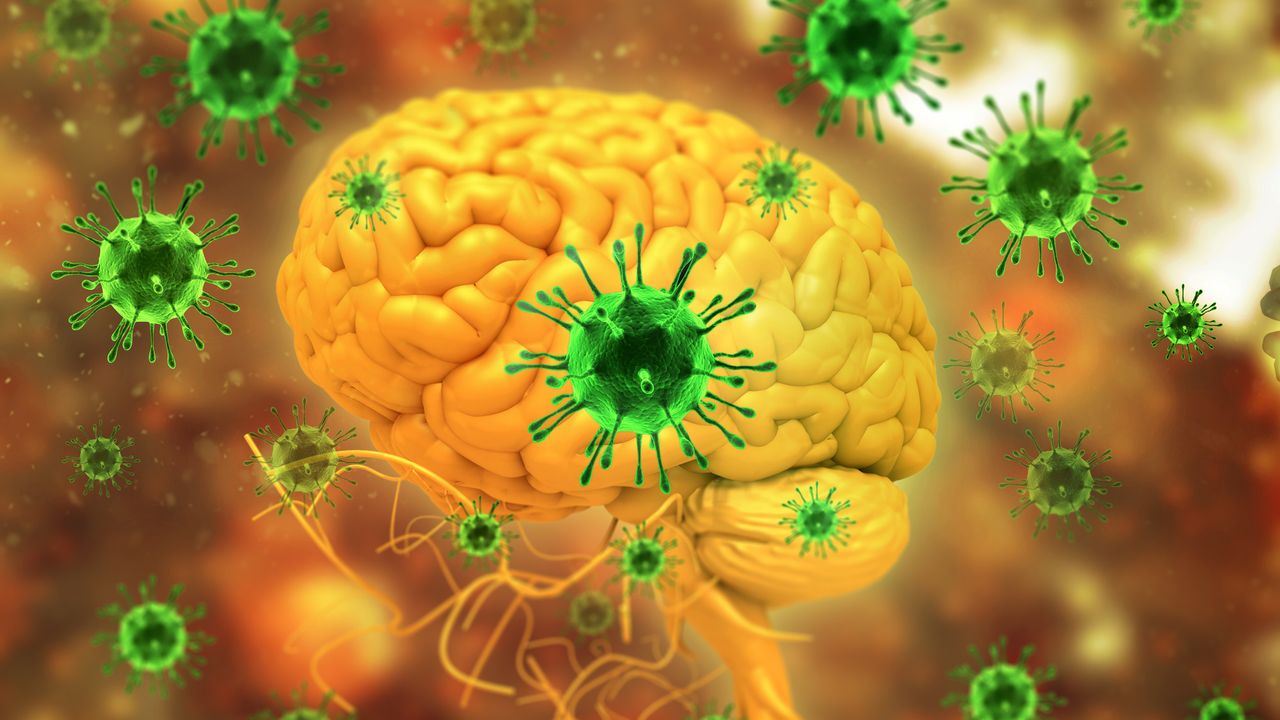 Targeting EBV-Infected Cells To Treat Multiple Sclerosis