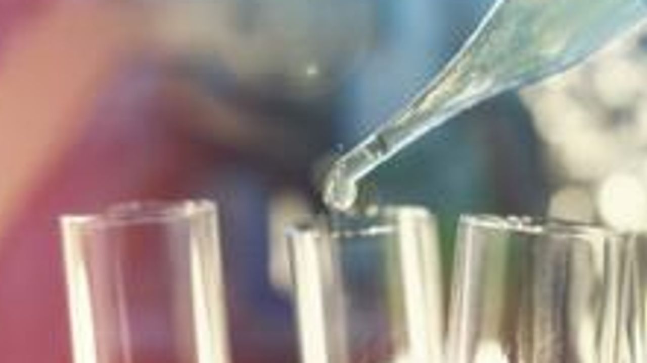 Antibody Candidates Against GPCR Therapeutic Targets