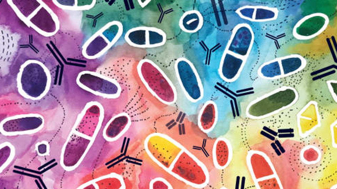 Removing the DNA Bottleneck in Antibody Discovery