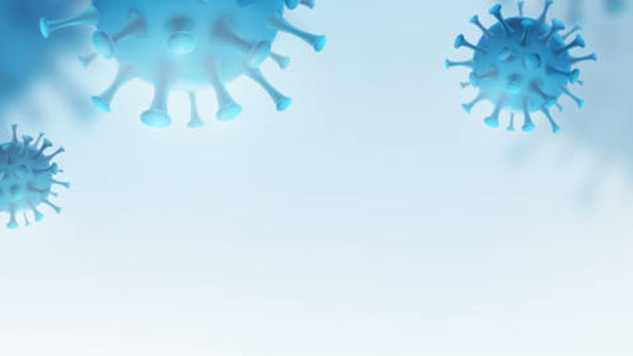 Your Guide to Manfacturing and Analytics for Lentivirus and AAV Vectors