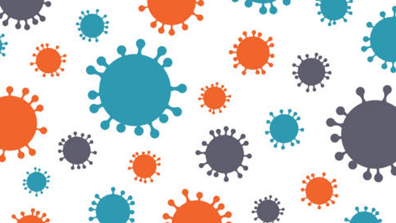 Platform Optimization for Efficient AAV Purification