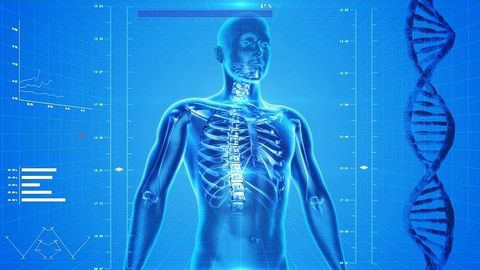 Real-Time Imaging of Innate Immune Activity Made Possible by Radio-Labeled Molecule