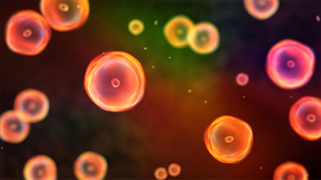 Molecular Driver of Cell Death and Inflammation Revealed