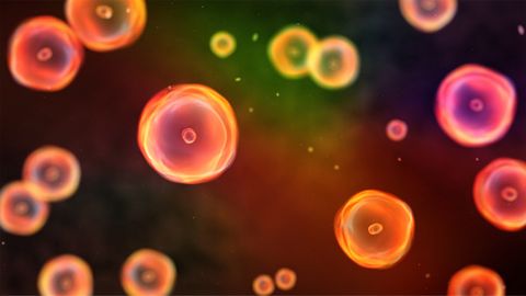 Molecular Driver of Cell Death and Inflammation Revealed
