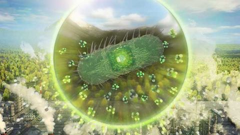 Carbon Waste Converted to Fabrics, Fuel and Cosmetics by Engineered Bacteria