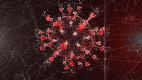 Artificial SARS-CoV-2 Virions Built To Study the Virus