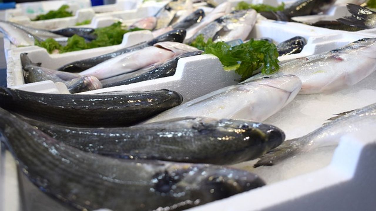 A Look Into the Shady World of Fish Fraud