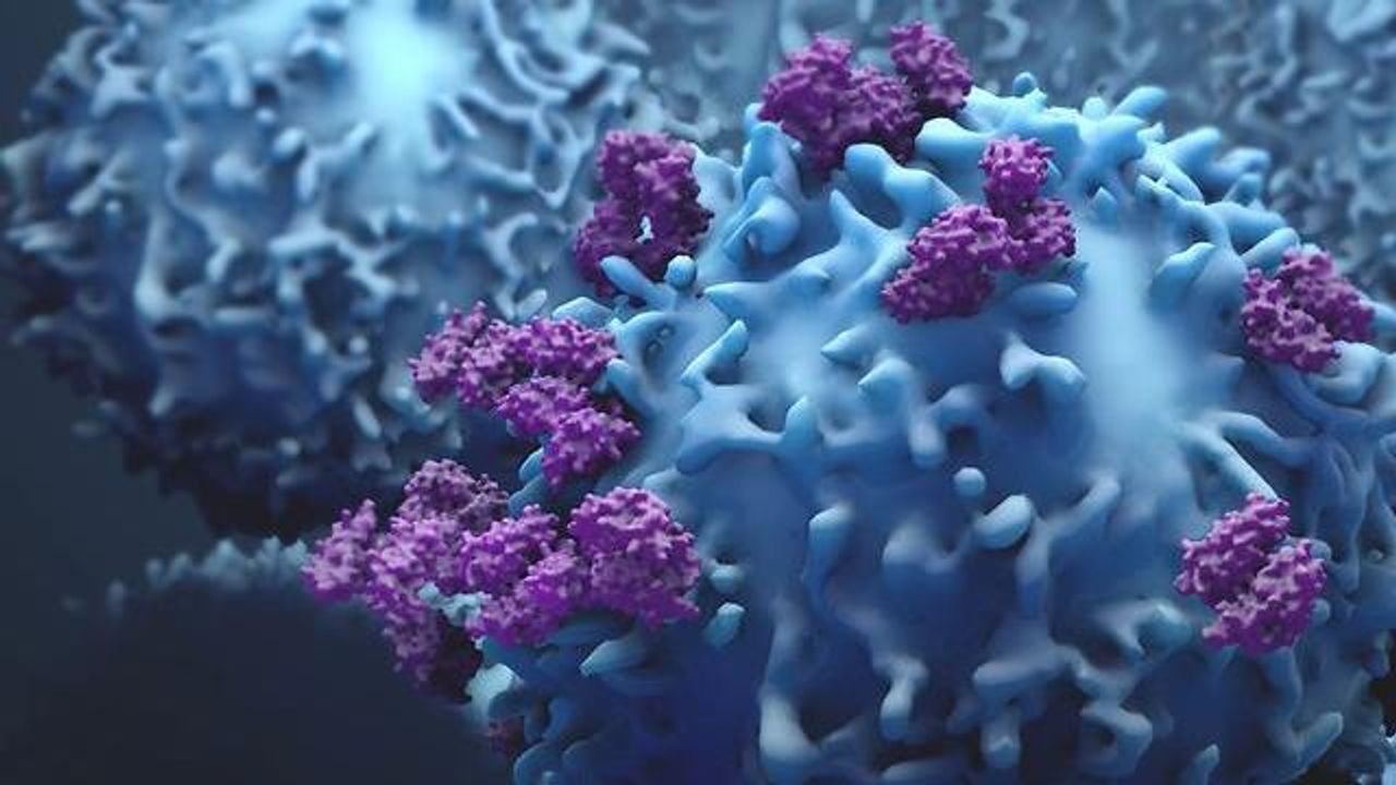 Quantifying T Cell Response in 3D Tumor Spheroids Using Advanced Flow Cytometry Workflows
