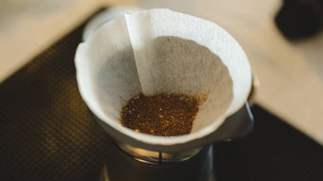 What Are the Compounds Released from Coffee Filter Paper?