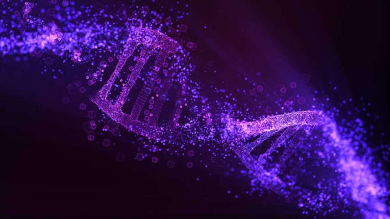 High-Performance Exome Enrichment With Integrated Analysis Software