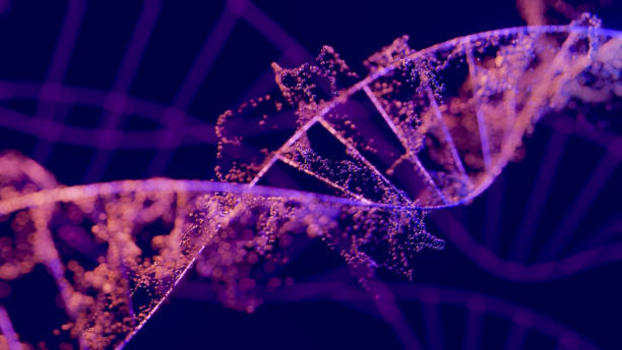 Genomic DNA Extractions Compared With the Agilent Femto Pulse System