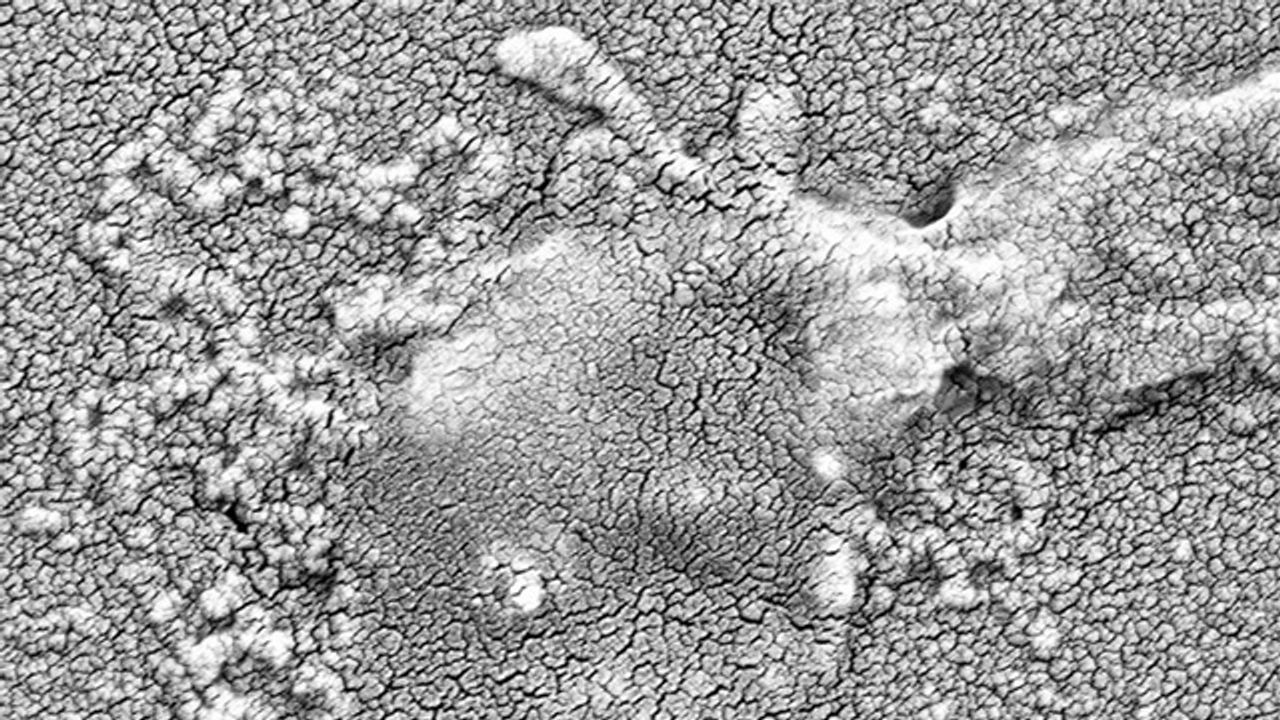 Disarming Antibiotic Resistance in Deadly Bacteria