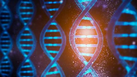 Gene Therapy for Thalassemia Negates Need for Monthly Blood Transfusions