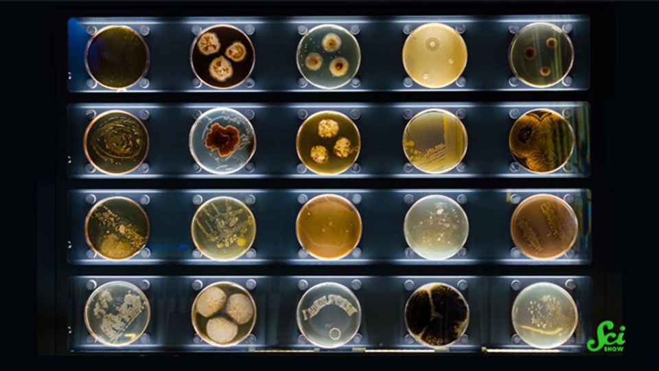 Hospitals are Hotspots for Antibiotic-Resistant Germs content piece image