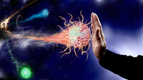 Improving the “Memory” of T Cells To Boost Vaccine Immune Response