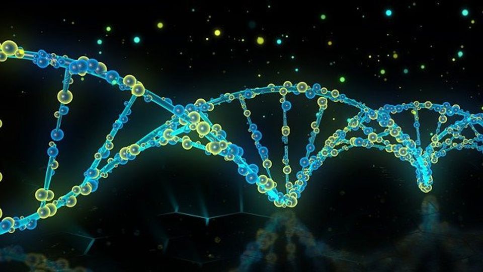 Study Demonstrates How RNA Molecules Control Repair of DNA in Cancer Cells content piece image