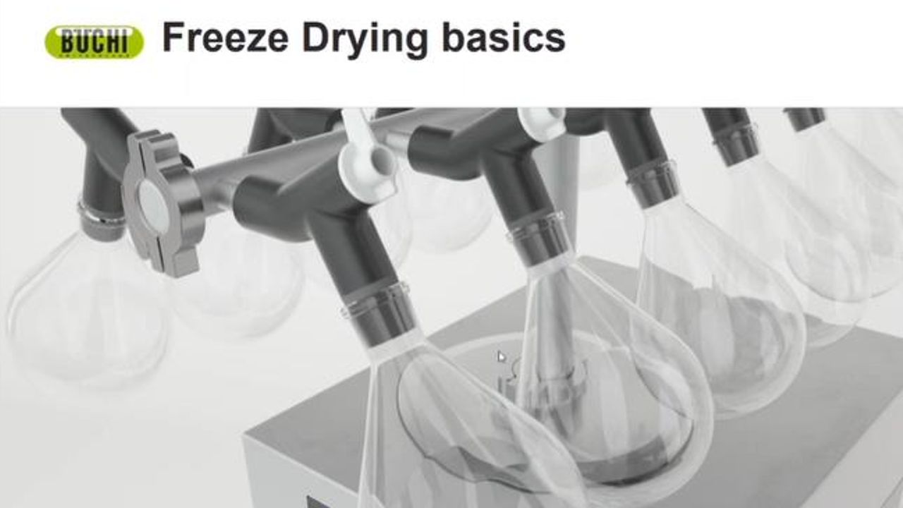 Freeze Drying: Basic Theory and Essential Parameters
