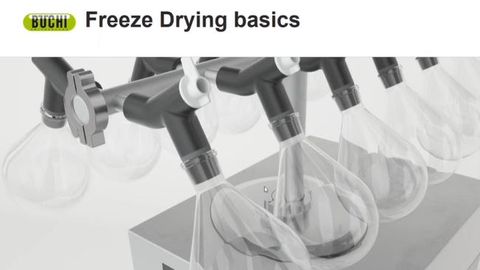 Freeze Drying: Basic Theory and Essential Parameters