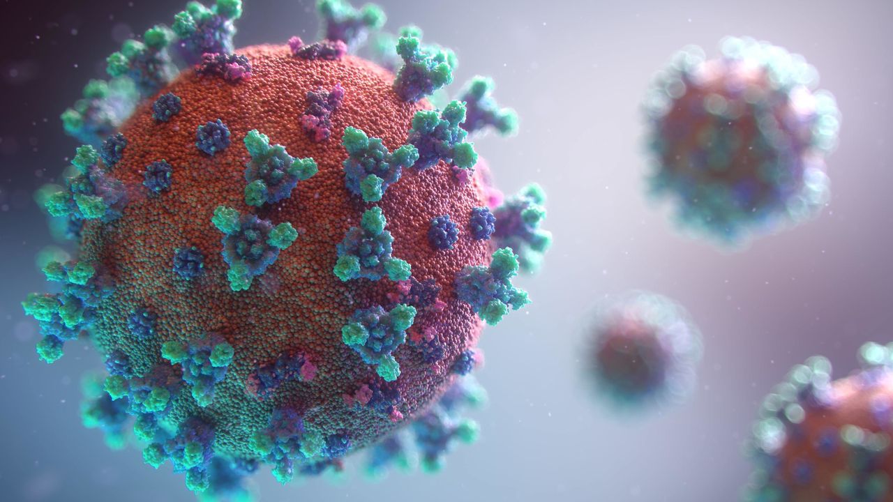 TSE Explores Coronavirus – Vaccines