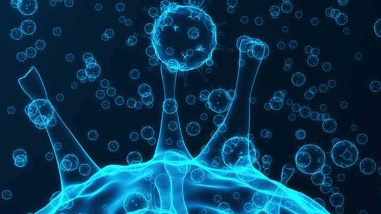 TSE Explores Coronavirus – COVID and The Human Body