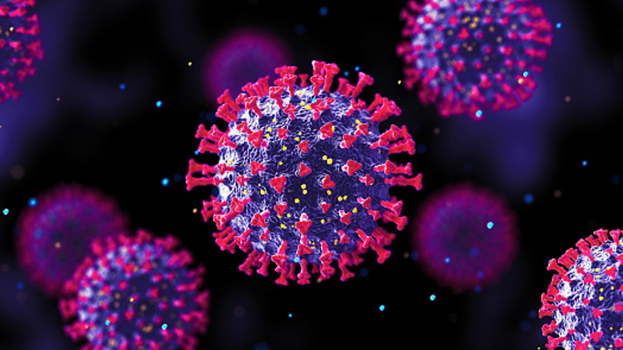 TSE Explores Coronavirus – Diagnosis