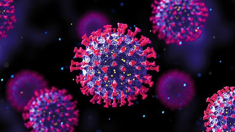 TSE Explores Coronavirus – Diagnosis