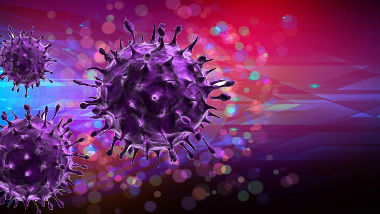 TSE Explores Coronavirus – Looking to the Future