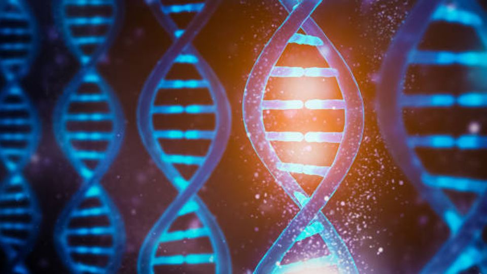 TSE Explores Genetics - Gene Editing: Past, Present and Future content piece image