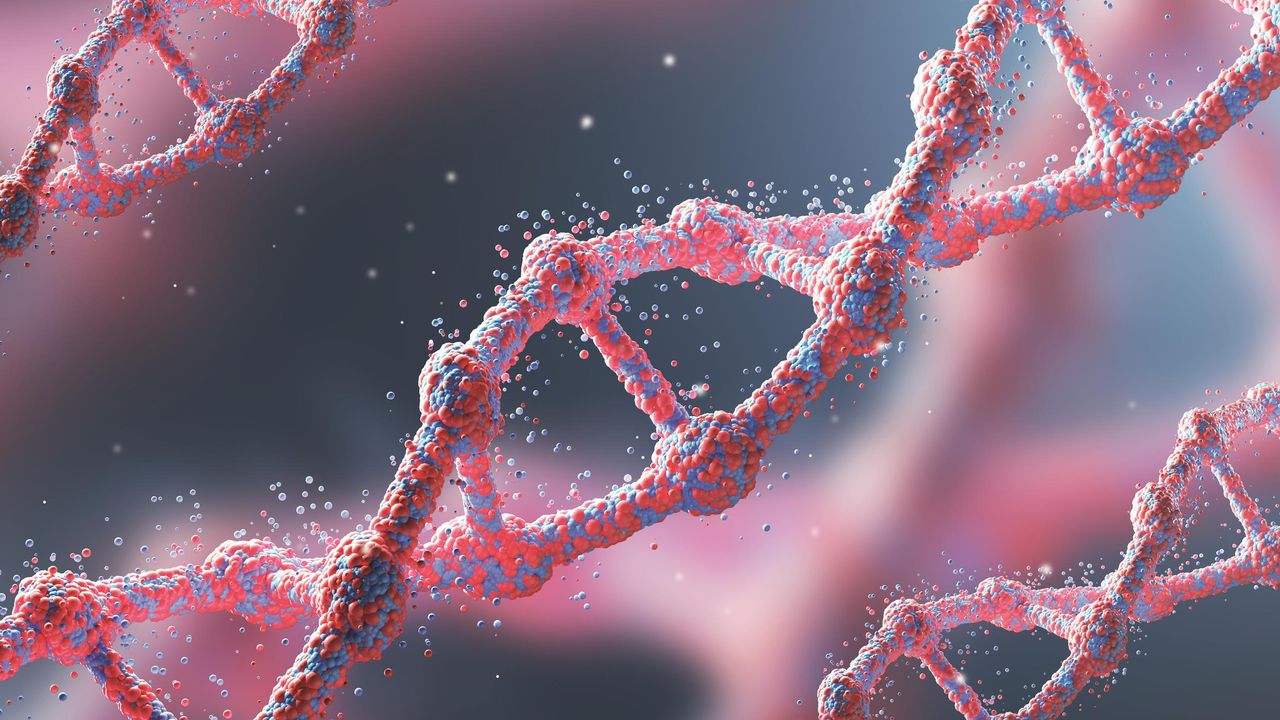 TSE Explores Genetics- The 21st Century