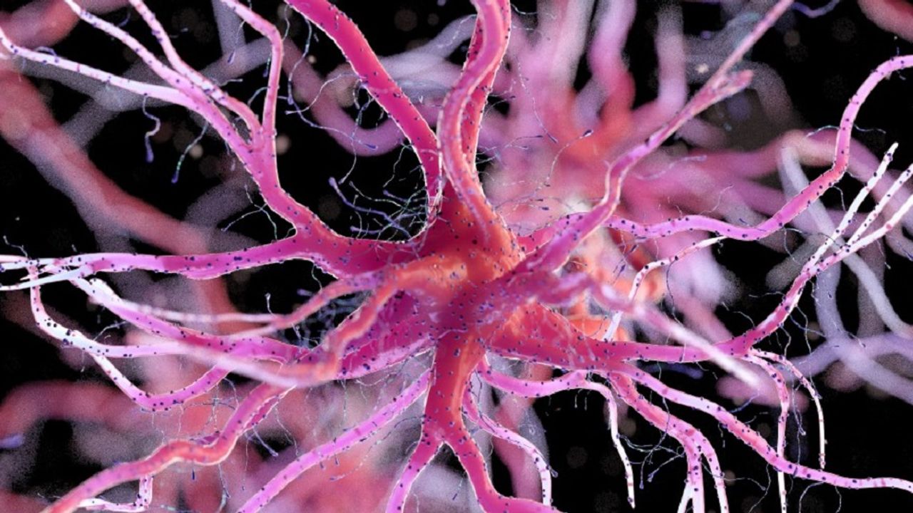 TSE Explores Psychedelics – What are Psychedelic Drugs and Their Effects?