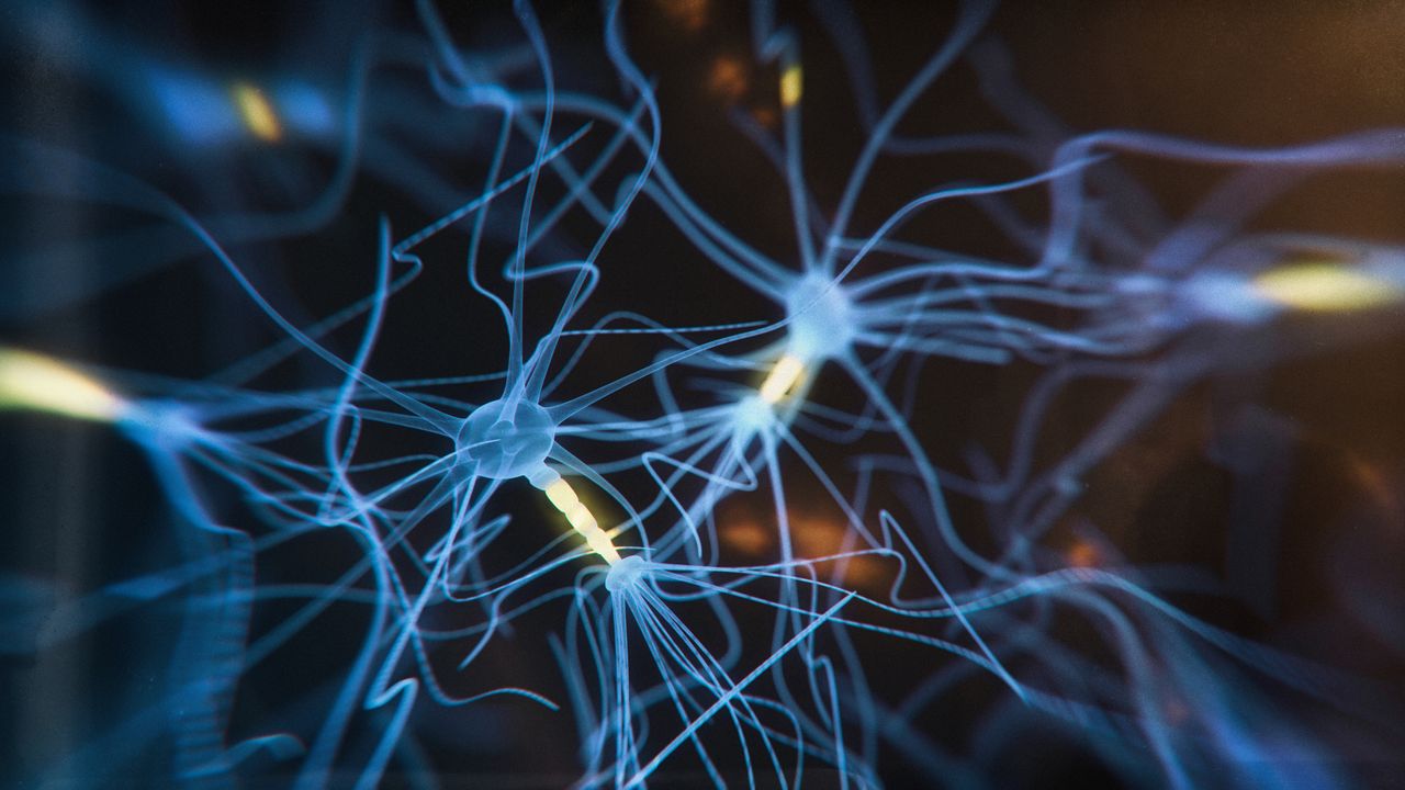 How Does the Brain Keep Track of Movement in the Environment?